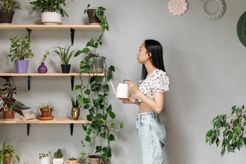 Leaves of the Chosen: How Plant Parenthood Became America's Most Photogenic Cult