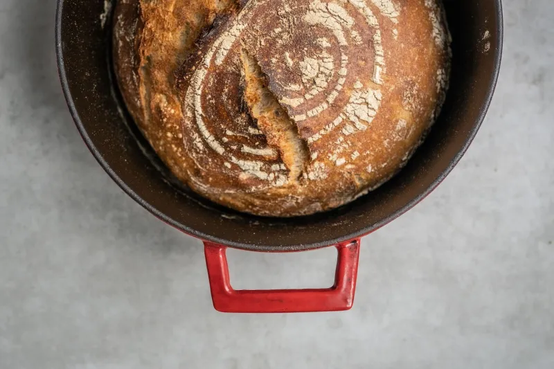 Knead to Know Basis: How Pandemic Sourdough Became a Full-Blown Ancestor Cult With Gluten